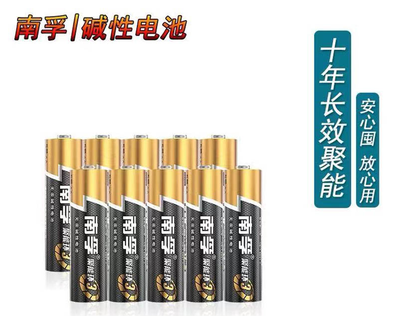 南孚電池5#